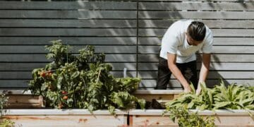 Gardening Experience