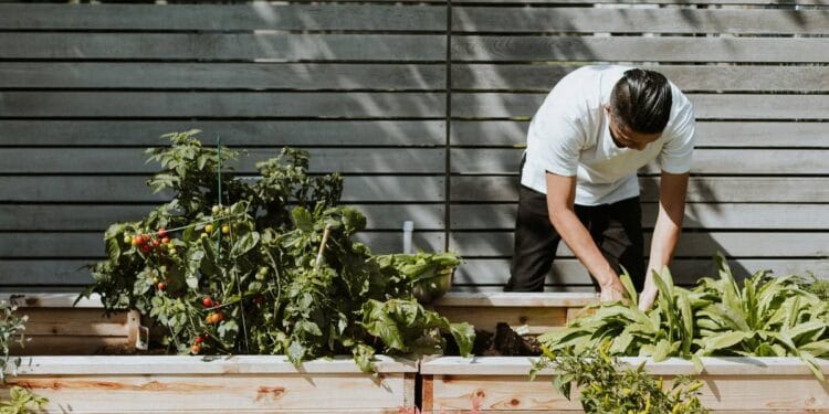 Gardening Experience