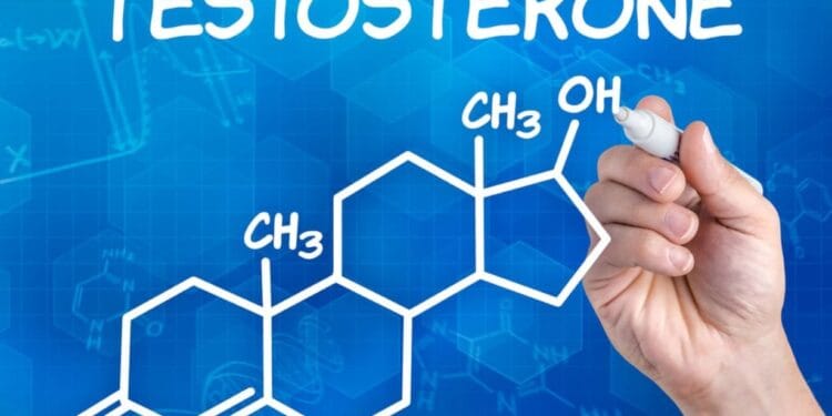 Testosterone