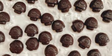 Best Mushroom Chocolate