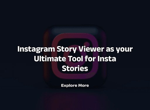 Instagram Story Viewer