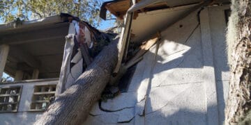 Storm Damage Restoration