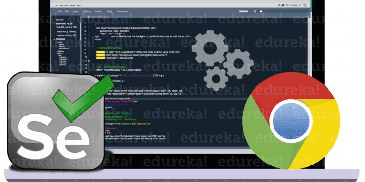 Selenium ChromeDriver