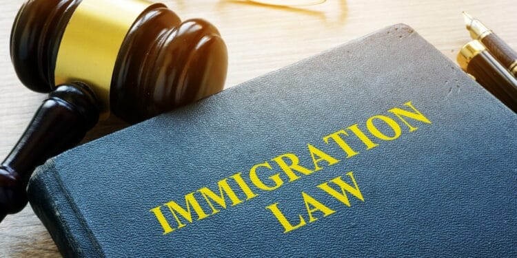 Immigration Lawyer