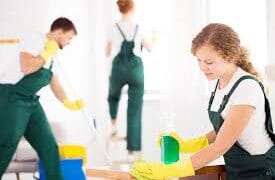 Sparkling Results: A Deep Look at Professional Cleaning Services